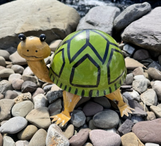 DUKE TURTLE LARGE AVAIL JAN 2026